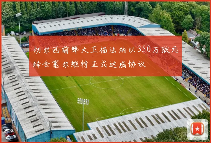 切尔西前锋大卫福法纳以350万欧元转会塞尔维特正式达成协议